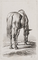 KG 01527
<br/>
Paard
<br/>
<em>Klein, Johann Adam (1792-1875)</em>